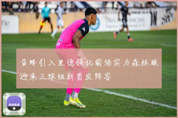 黄蜂引入里德强化前场实力森林狼迎来三球组新首发阵容